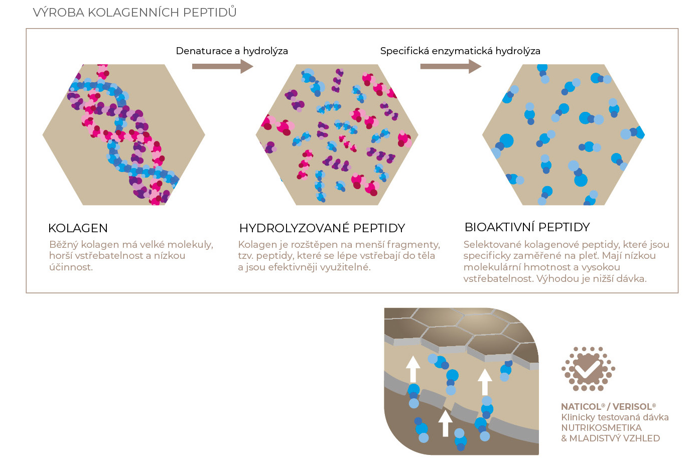 Výroba kolagenních peptidů